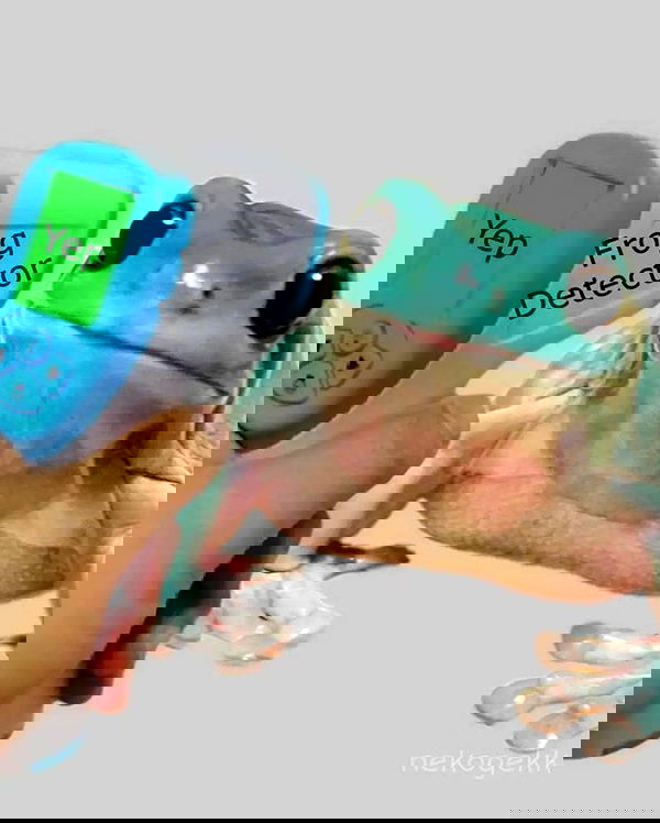 nixxi.cat nixxi.cat archive image