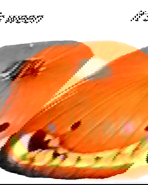 nixxi.cat nixxi.cat archive image