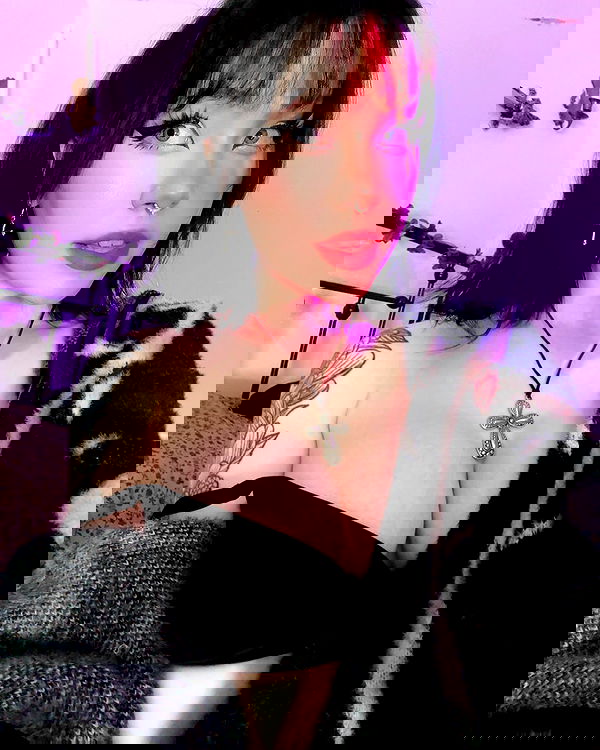 nixxi.cat nixxi.cat archive image