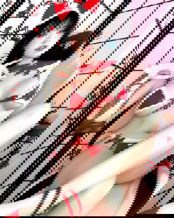 nixxi.cat nixxi.cat archive image