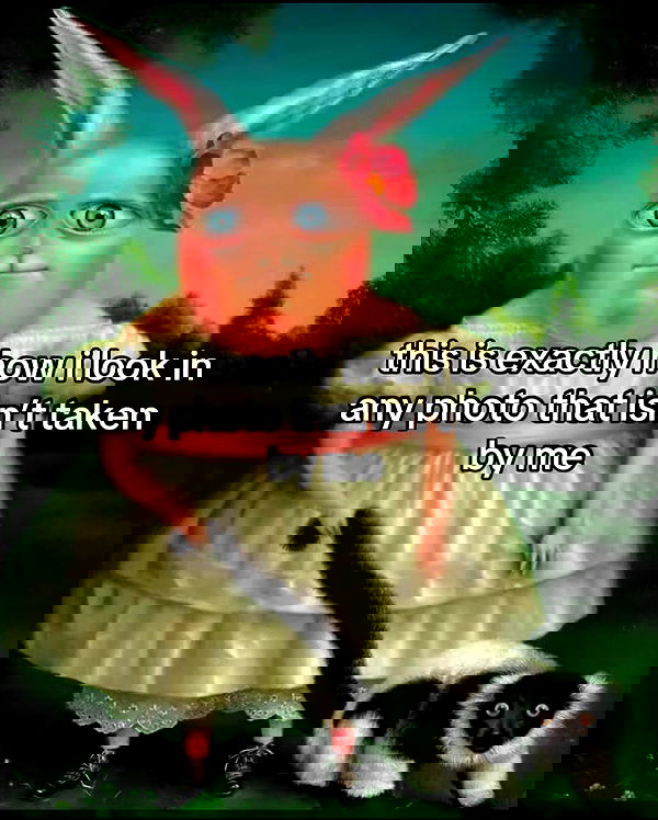 nixxi.cat nixxi.cat archive image