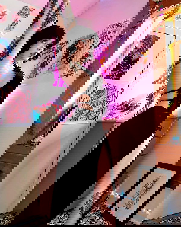 nixxi.cat nixxi.cat archive image