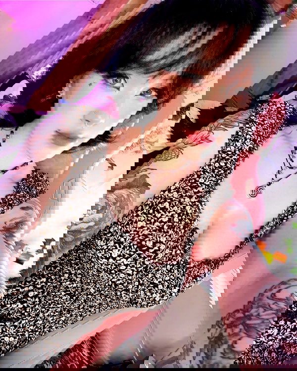 nixxi.cat nixxi.cat archive image