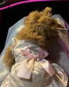 noa.benhemo Altpins Profile Picture