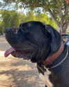 noa.benhemo Altpins Profile Picture