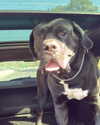 noa.benhemo Altpins Profile Picture