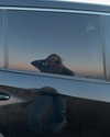 noa.c___ Altpins Profile Picture