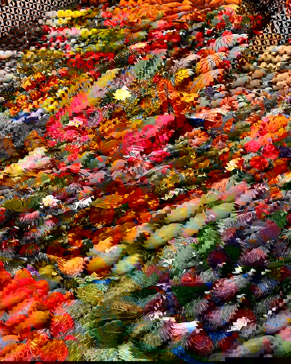 noa.mnk noa.mnk archive image