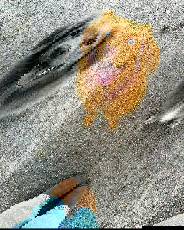 noa.mnk noa.mnk archive image