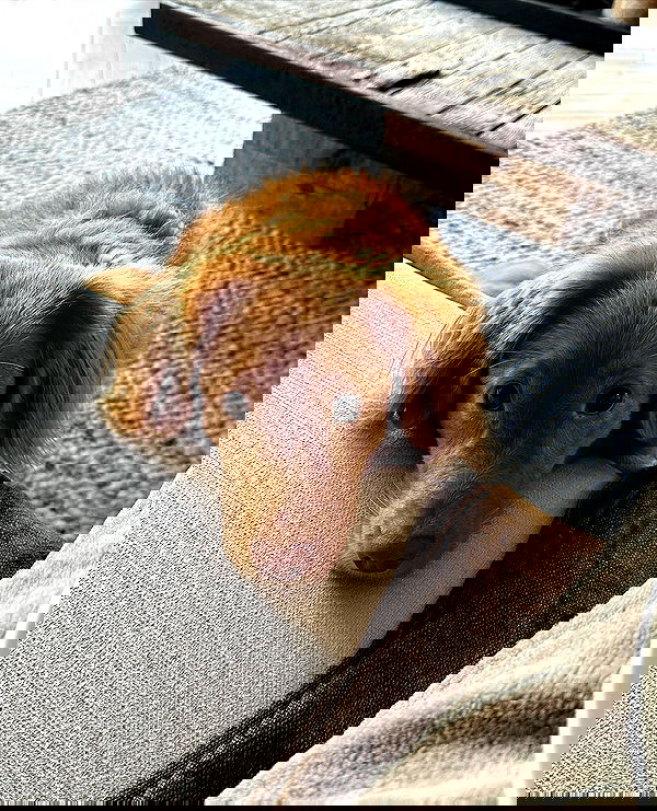 noa.mnk noa.mnk archive image