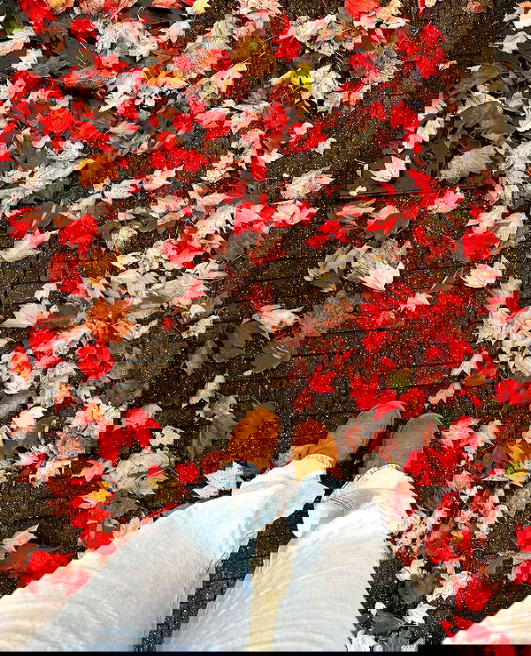 noa.mnk noa.mnk archive image