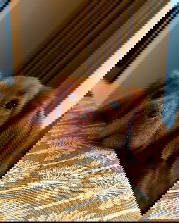 noa.mnk noa.mnk archive image