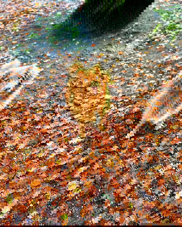 noa.mnk noa.mnk archive image