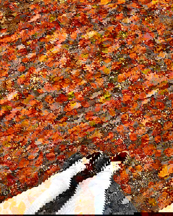 noa.mnk noa.mnk archive image