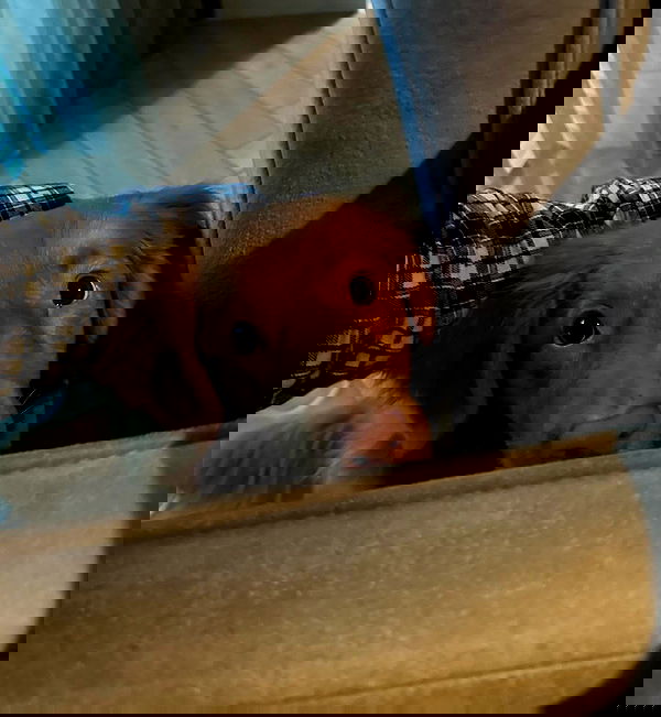 noa.mnk noa.mnk archive image