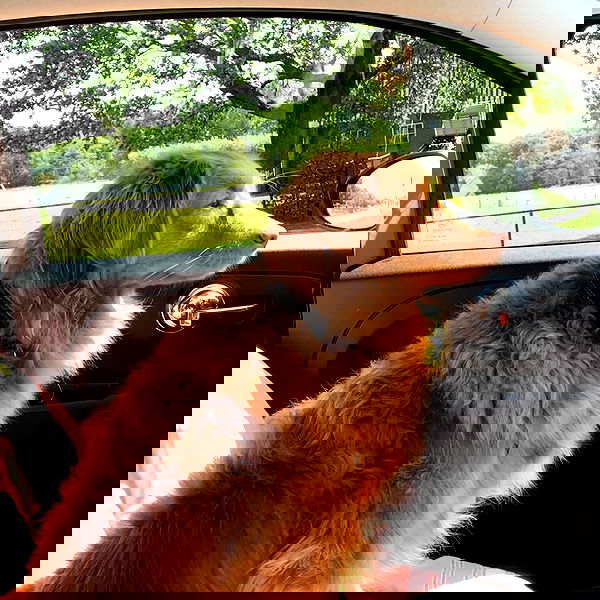 noa.mnk noa.mnk archive image