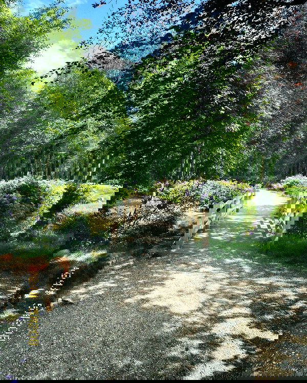 noa.mnk noa.mnk archive image