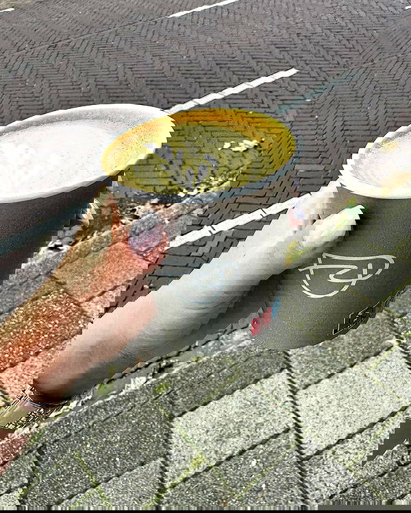 noa.mnk noa.mnk archive image