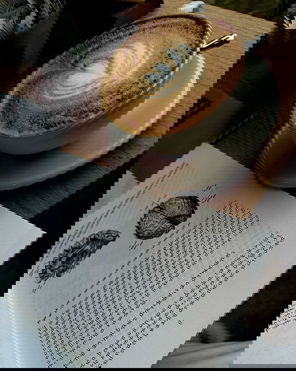 noa.mnk noa.mnk archive image