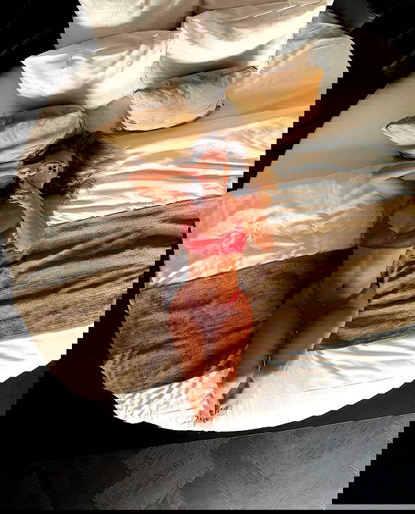 noa.mnk noa.mnk archive image