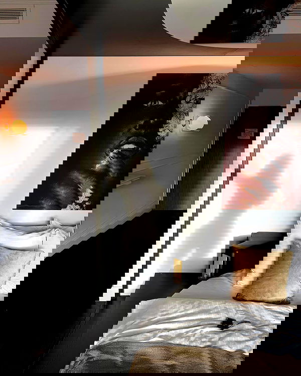 noa.mnk noa.mnk archive image