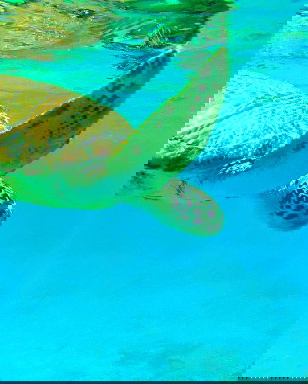 noa.mnk noa.mnk archive image