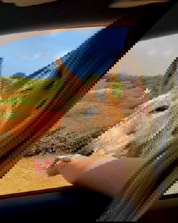 noa.mnk noa.mnk archive image