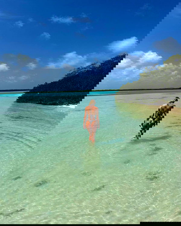 noa.mnk noa.mnk archive image