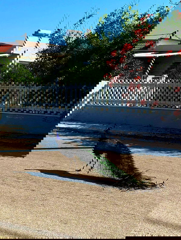 noa.mnk noa.mnk archive image