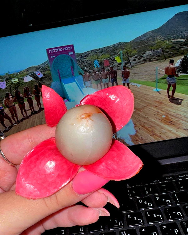 noa1432 instagram image archive image