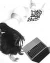 noa2000oooo Altpins Profile Picture