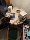 noa2000oooo Altpins Profile Picture