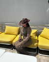 noa_ben_attar Altpins Profile Picture