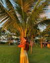 noa_mendel_ Altpins Profile Picture