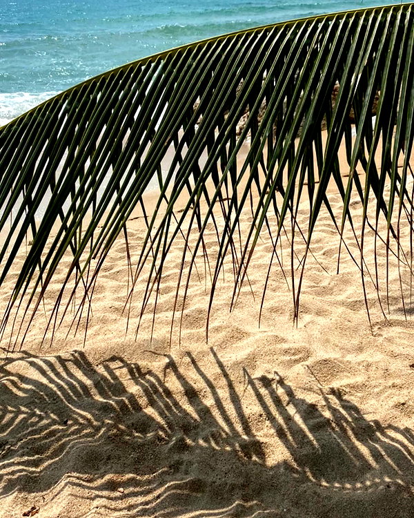 noa_mendel_ instagram image archive image
