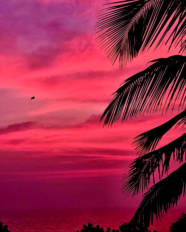 noa_mendel_ instagram image archive image