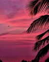 noa_mendel_ Altpins Profile Picture