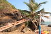 noa_mendel_ Altpins Profile Picture