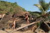 noa_mendel_ Altpins Profile Picture