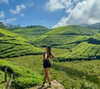 noa_mendel_ Altpins Profile Picture