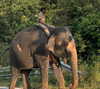 noa_mendel_ Altpins Profile Picture
