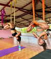 noa_mendel_ Altpins Profile Picture