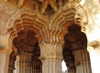 noa_mendel_ Altpins Profile Picture
