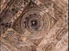 noa_mendel_ Altpins Profile Picture