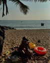 noa_mendel_ Altpins Profile Picture