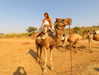 noa_mendel_ Altpins Profile Picture