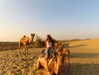 noa_mendel_ Altpins Profile Picture