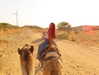 noa_mendel_ Altpins Profile Picture
