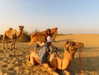 noa_mendel_ Altpins Profile Picture