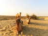 noa_mendel_ Altpins Profile Picture